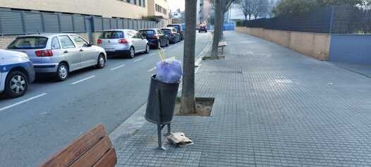 IMG-20250131-WA0000.jpg
