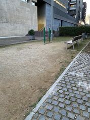 foto.JPG
