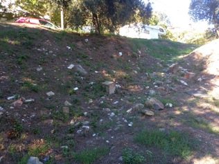 Picture 2.jpg