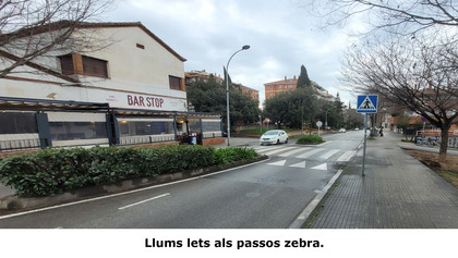 20250222_095446_LetsPassosZebra.jpg