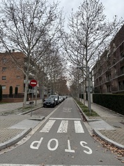 IMG_1649.jpeg