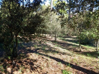 Picture 3.jpg